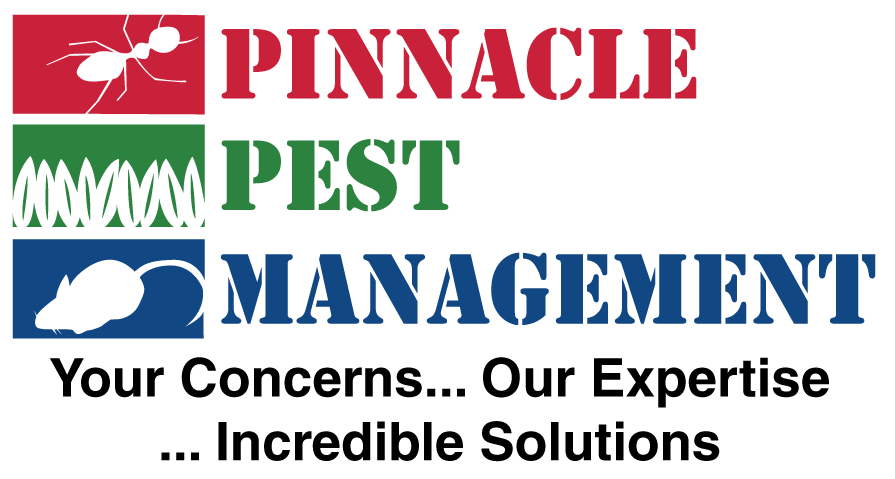 Pest Control Company Florida