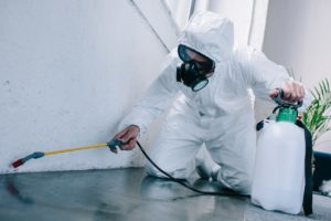 Tips for Commercial Pest Control