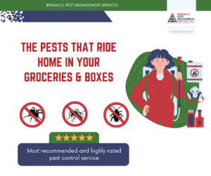 pests that ride home in groceries and boxes